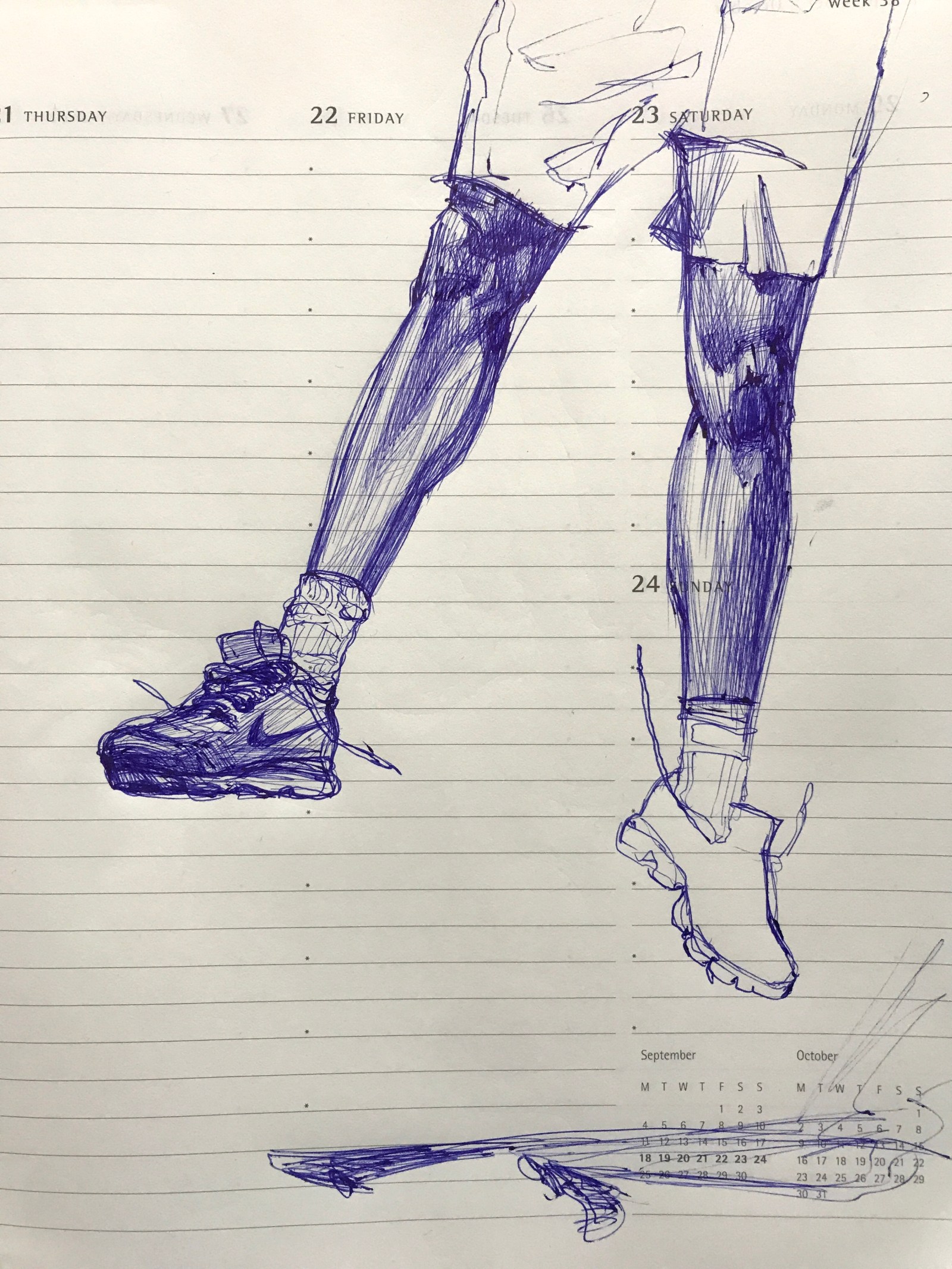 Body shape